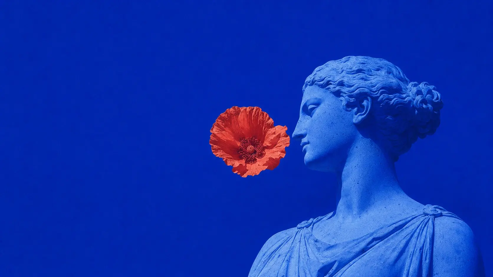 Wide 16:9 surreal editorial hero image, a monumental classical marble female statue shown in three-quarter profile, entire sculpture rendered in intense cobalt and ultramarine blue, subtle carved stone texture visible through fine analog grain and halftone speckling, a single enormous coral-red flower floating directly in front of her face as if suspended in air, deep saturated blue background seamlessly blending with the sculpture, dramatic directional sunlight, slightly imperfect vintage print texture, soft chromatic edges, mysterious contemporary art direction, minimalist composition, generous empty negative space on the left for typography, highly tactile surface, sophisticated fashion-art aesthetic, no text, no frame.