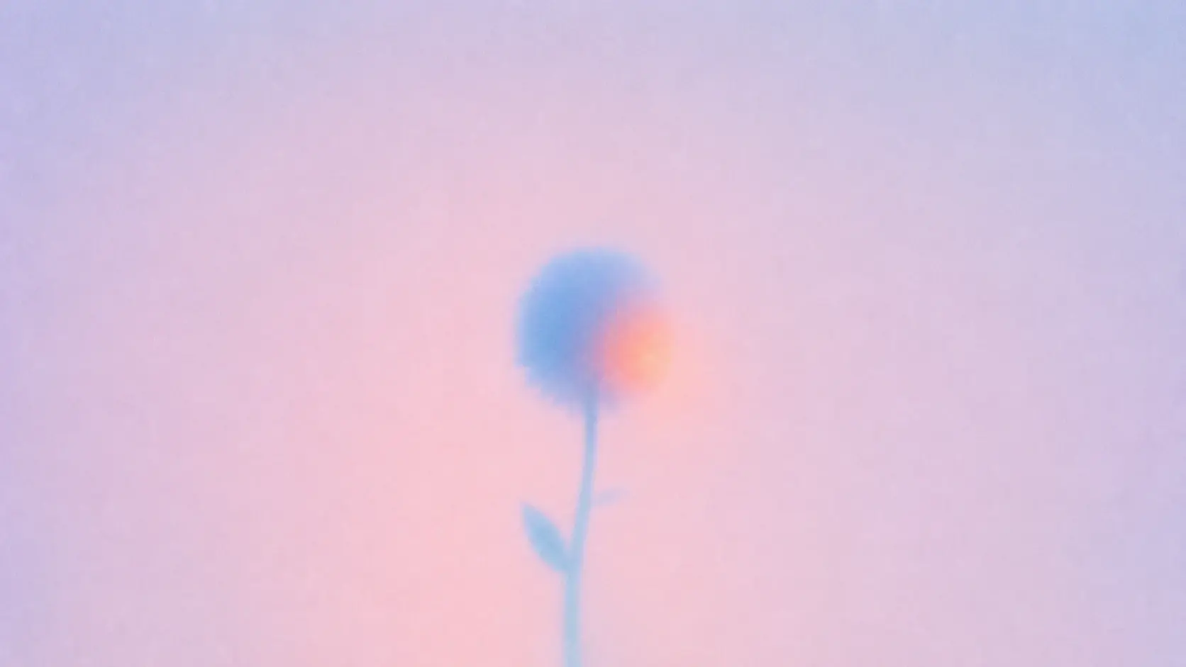 A single softly blurred flower centered against a vast empty pastel sky, its petals a dusty powder blue fading into deep lavender, one side of its glowing center warm peach-orange, a thin pale stem with two small leaves descending toward a hazy pink horizon, extremely minimal and quiet composition. STYLE LOCK