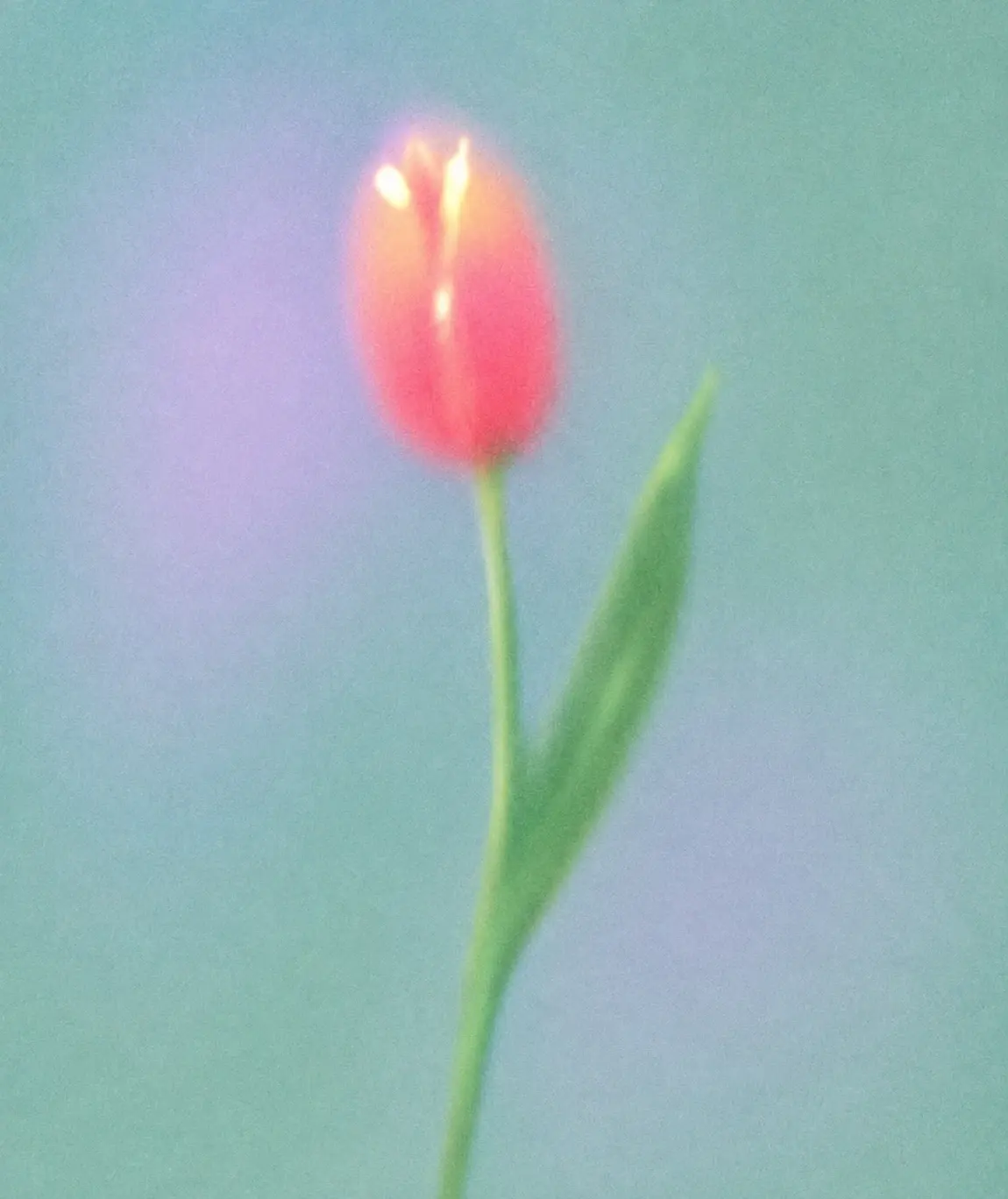 Dreamy soft-focus macro photograph of a single pink and coral tulip standing upright against a hazy mint-green and powder-blue background, slender bright green stem and one long curved leaf, petals softly glowing with warm peach, coral and hot-pink gradients, delicate pale-yellow highlights at the center, extremely shallow depth of field, diffused light, gentle bloom, atmospheric haze, subtle film grain, slightly blurred edges, pastel color palette, ethereal nostalgic mood, minimalist composition, analog dream photography, soft lens diffusion, low contrast, no sharp details, vertical botanical portrait